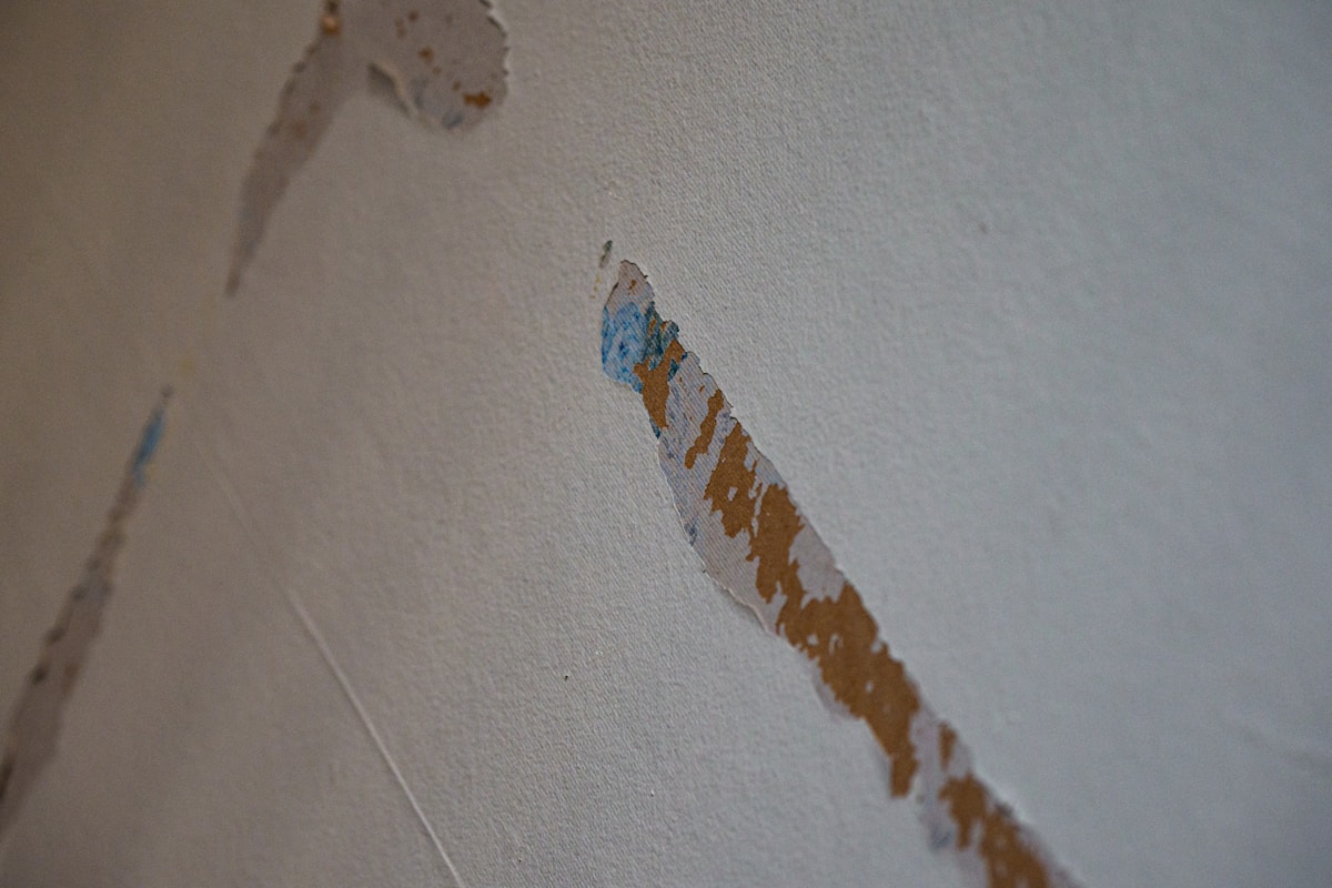 Water Extraction service in Castro Valley, CA